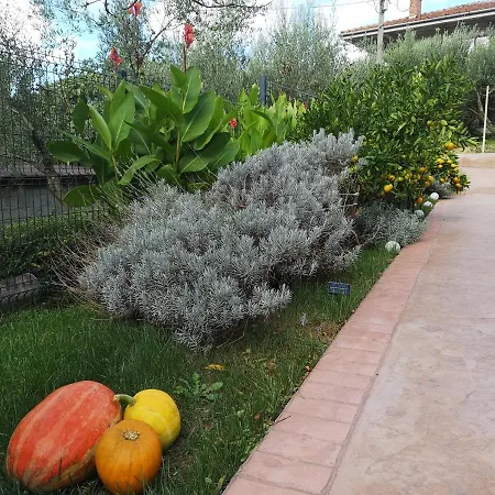 New Istriaexperience Apartamento