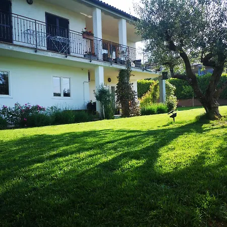 New Istriaexperience * Koper